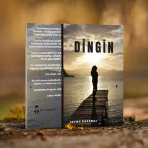 DİNGİN